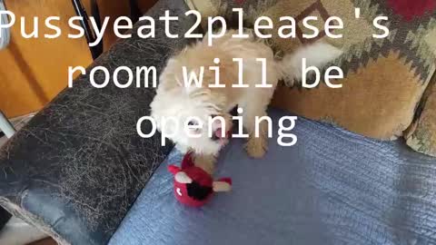 Snapshot of pussyeat2please chatting on 16, 2, 2025 Rick online show from 16, 2, 2025