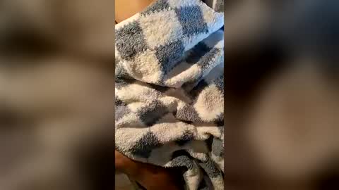 pussyeater420696953 online show from 16, 6, 2026