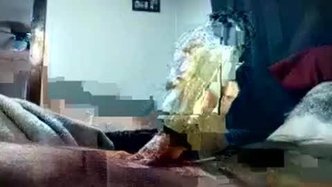 Snapshot of pussyluver420kik909587 chatting on 1, 10, 2025 Pussyluver420 online show from 1, 10, 2025