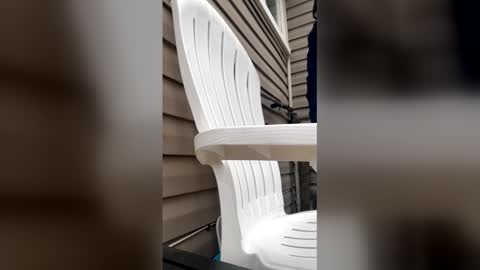 Snapshot of pyrex8 chatting on 13, 1, 2026 pyrex8 online show from 13, 1, 2026