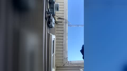 Snapshot of pyrex8 chatting on 10, 2, 2026 pyrex8 online show from 10, 2, 2026