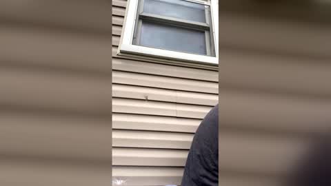 Snapshot of pyrex8 chatting on 13, 4, 2026 pyrex8 online show from 13, 4, 2026