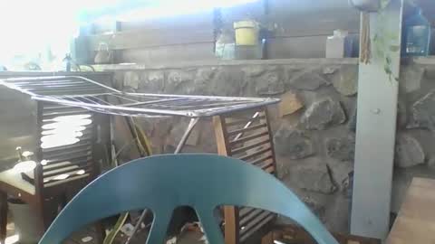 Snapshot of python974 chatting on 29, 11, 2025 Python online show from 29, 11, 2025