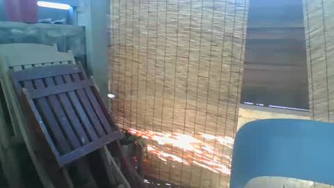 Python online show from 26, 2, 2026