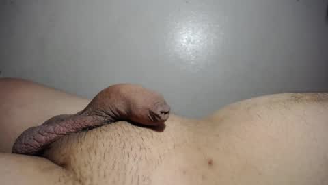 qqqwer21 online show from 31, 3, 2026