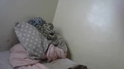 Snapshot of queenmojo_1_1 chatting on 31, 1, 2025 melly online show from 31, 1, 2025