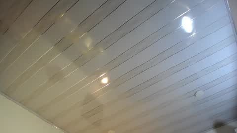 Rose online show from 19, 12, 2024