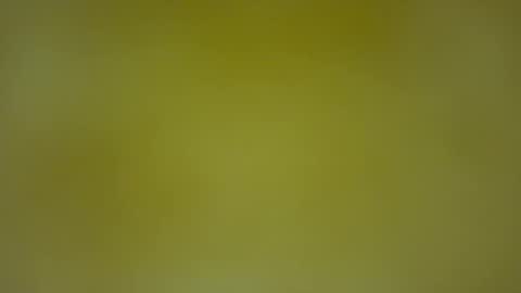 quinnxx online show from 8, 2, 2026