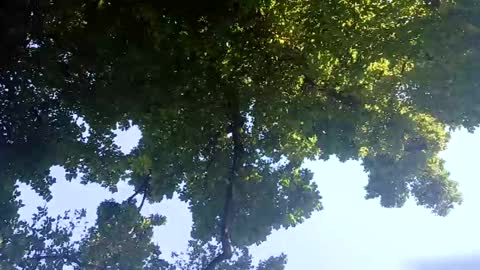 Snapshot of ragingzef69 chatting on 2, 2, 2025 Bigthickdickinvic online show from 2, 2, 2025