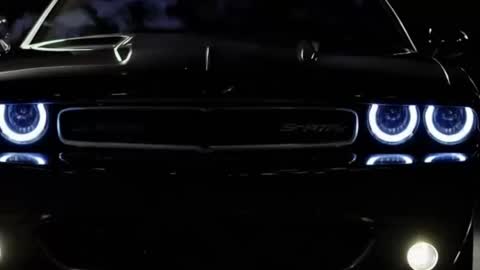 rah_8151 online show from 17, 1, 2025