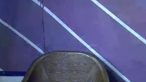 rainbow baby26 online show from 29, 3, 2026