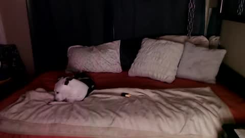    RAMONA Q   online show from 20, 12, 2024