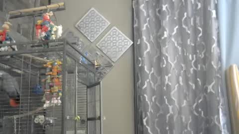 Randy8inbater online show from 1, 12, 2024