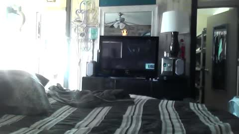 Randy8inbater online show from 10, 12, 2024