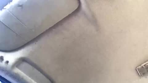 Brissycouple269 online show from 20, 11, 2025