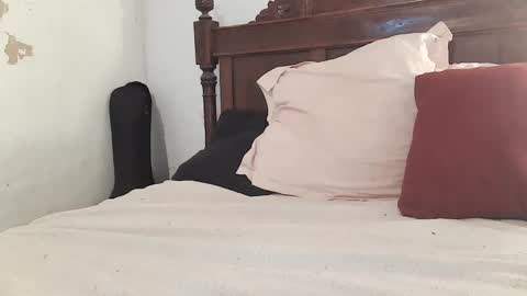 Ran online show from 7, 2, 2025