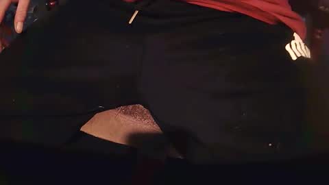 rarvet online show from 17, 4, 2026