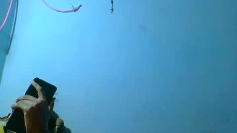 rasoelysca online show from 1, 3, 2026