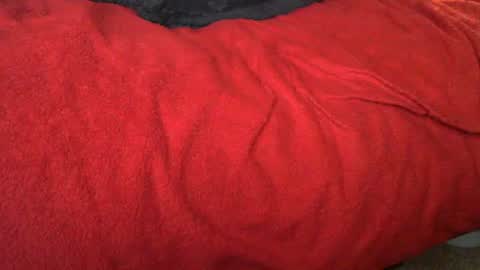 Snapshot of raymondo1964 chatting on 12, 11, 2025 raymondo1964 online show from 12, 11, 2025