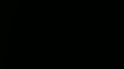 Ray online show from 29, 12, 2024