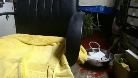 Ray online show from 27, 11, 2025