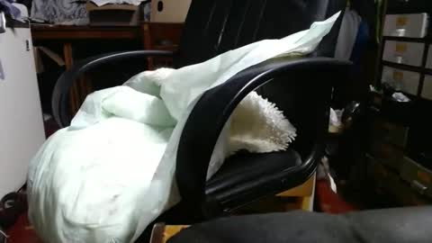 Snapshot of raysmith77777777 chatting on 29, 4, 2026 Ray online show from 29, 4, 2026
