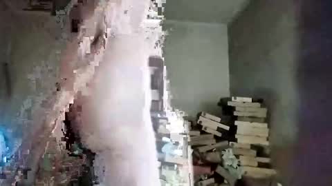 rdcervetto81 online show from 11, 2, 2026