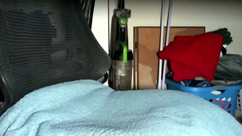 re dick online show from 22, 10, 2025