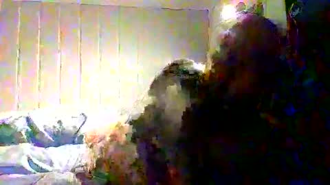 real_viking1 online show from 22, 11, 2025