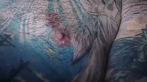 realrubpirate online show from 3, 2, 2026