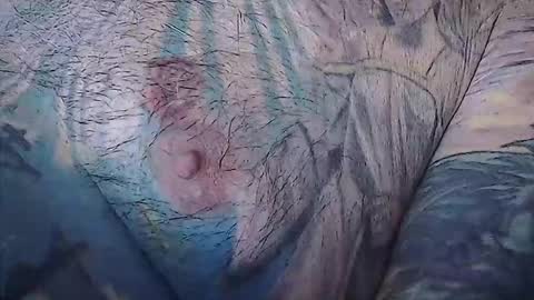 realrubpirate online show from 22, 2, 2026