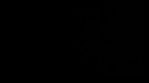 Gianna online show from 7, 4, 2026