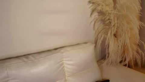 Rebeca Williams online show from 8, 2, 2025