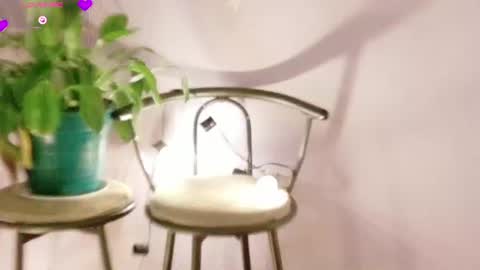 rebeccawhite_meow online show from 11, 6, 2026