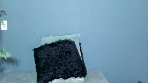 twitter REECET26 instagram RECCETAYLOR online show from 1, 3, 2026