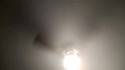 Snapshot of red24devils chatting on 4, 1, 2025 red24devils online show from 4, 1, 2025