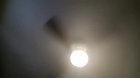 Snapshot of red24devils chatting on 13, 1, 2025 red24devils online show from 13, 1, 2025