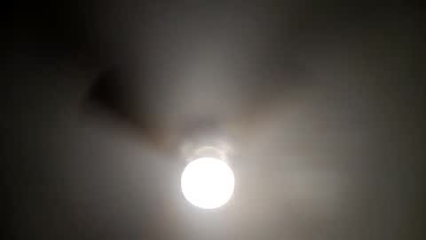 Snapshot of red24devils chatting on 16, 1, 2025 red24devils online show from 16, 1, 2025