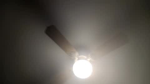 Snapshot of red24devils chatting on 14, 2, 2025 red24devils online show from 14, 2, 2025