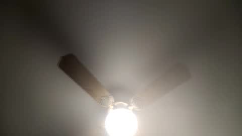 Snapshot of red24devils chatting on 12, 3, 2025 red24devils online show from 12, 3, 2025