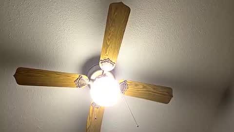 Snapshot of red24devils chatting on 12, 9, 2025 red24devils online show from 12, 9, 2025