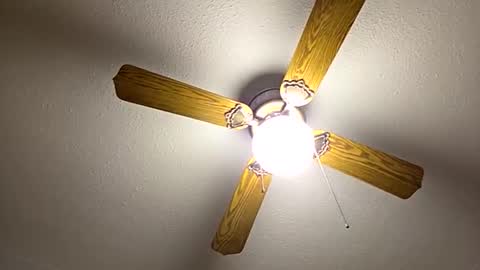 Snapshot of red24devils chatting on 22, 9, 2025 red24devils online show from 22, 9, 2025