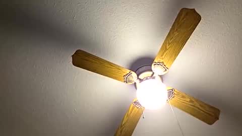 Snapshot of red24devils chatting on 26, 10, 2025 red24devils online show from 26, 10, 2025