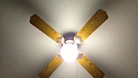 Snapshot of red24devils chatting on 21, 11, 2025 red24devils online show from 21, 11, 2025