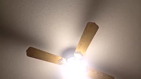 Snapshot of red24devils chatting on 3, 12, 2025 red24devils online show from 3, 12, 2025