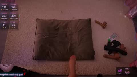 Snapshot of redhead_shark chatting on 9, 1, 2026 Redhead Shark online show from 9, 1, 2026