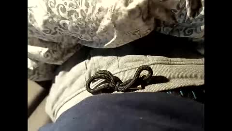 Snapshot of reedy123456789 chatting on 22, 10, 2025 reedy123456789 online show from 22, 10, 2025