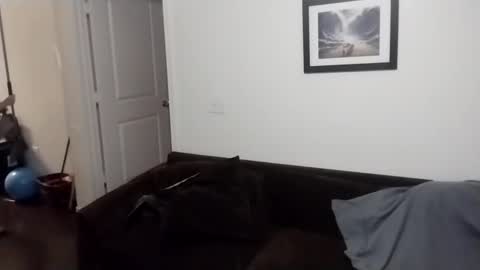 Snapshot of reelfreaky chatting on 21, 9, 2025 shy online show from 21, 9, 2025