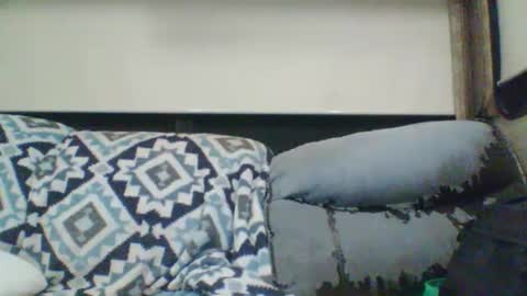 reese960384 online show from 11, 1, 2026