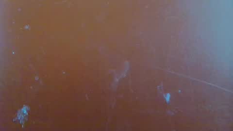 paola online show from 29, 1, 2025